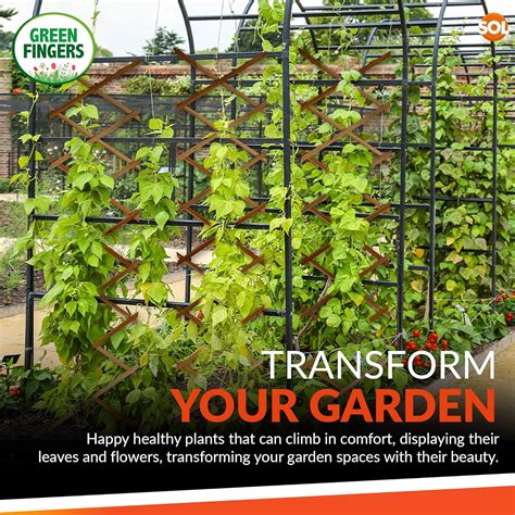 trellis subscription|Trellis Review .